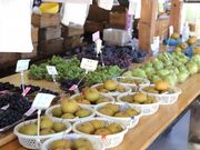 ����J�_���̎ʐ^1