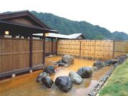 �Ò�����@�Ԋ⑑�̎ʐ^1