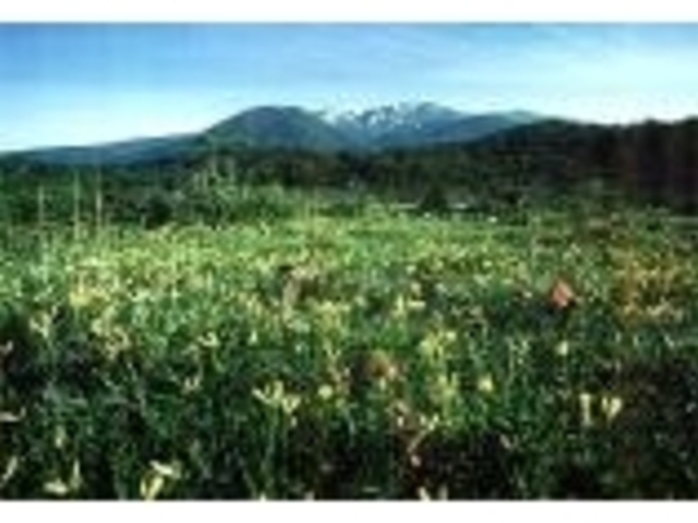 ���E�J�n�����ԉ����R����