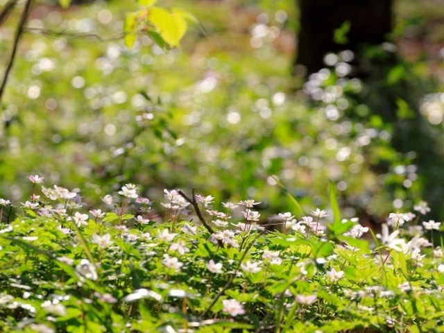 �j�����\�E_�V�狴