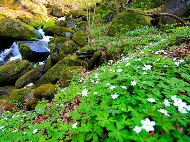 �j�����\�E2_�V�狴