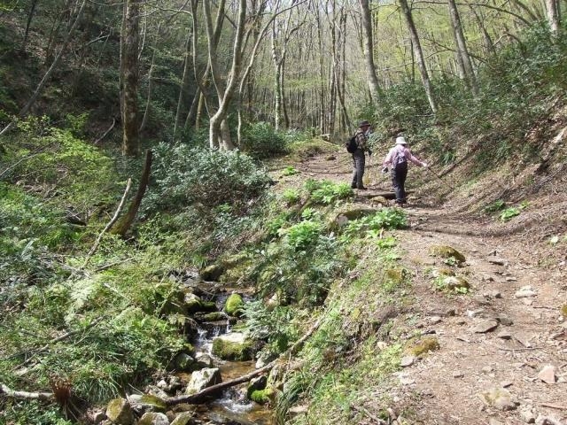 �D�ʎR�o�R�R�[�X�̎ʐ^1