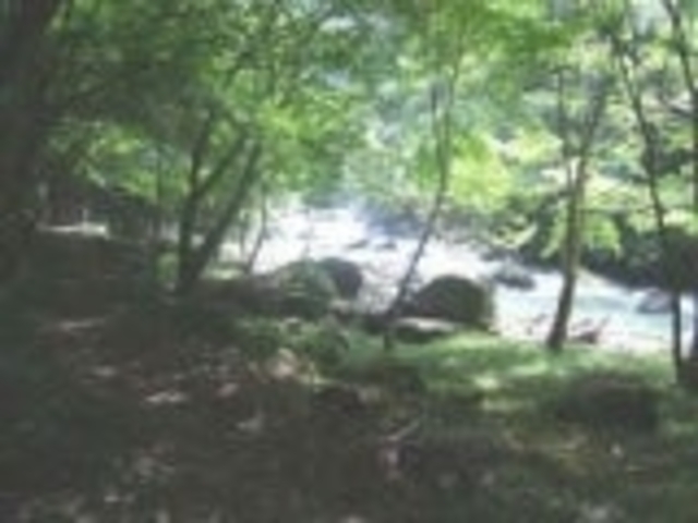 �������V�����̎ʐ^1