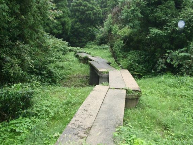 ���R���񎩑R����