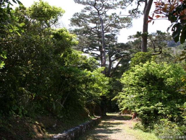 �U���H(1)_�ӌ�������ؕۑS�����i�U���H�j