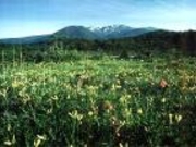 ���E�J�n�����ԉ����R�����̎ʐ^1