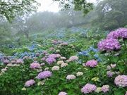 ���̎R���R�����̎ʐ^1