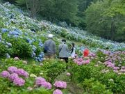 ���̎R���R�����̎ʐ^3