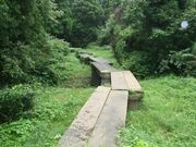 ���R���񎩑R�����̎ʐ^1