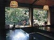 葢背Xg@Gosaro̎ʐ^2