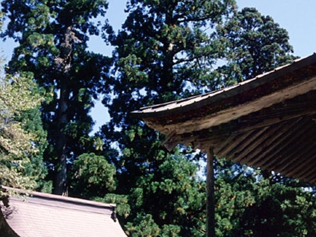 ���ꔒ�R�_�Ђ̐��̎ʐ^1