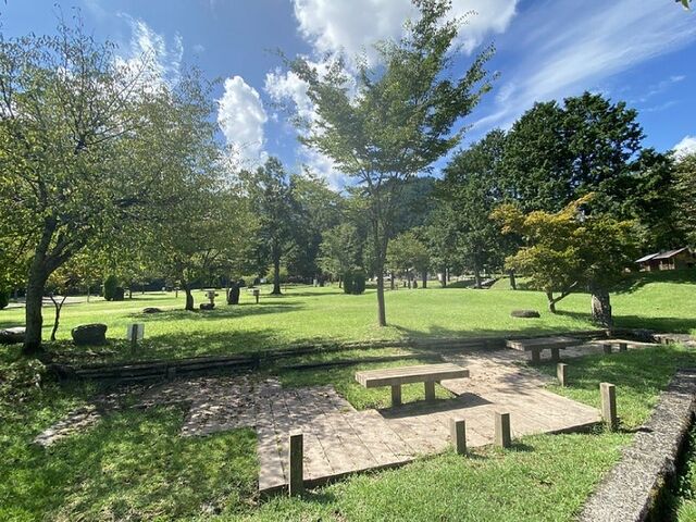 �a�ǐ�����I�[�g�L�����v��