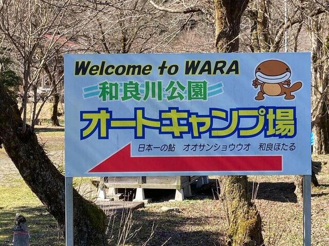 �a�ǐ�����I�[�g�L�����v��