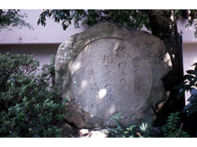 �m�Ԃ̋��i���q�����΁j