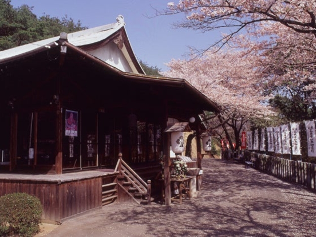 �P�����R�����̍��̎ʐ^1