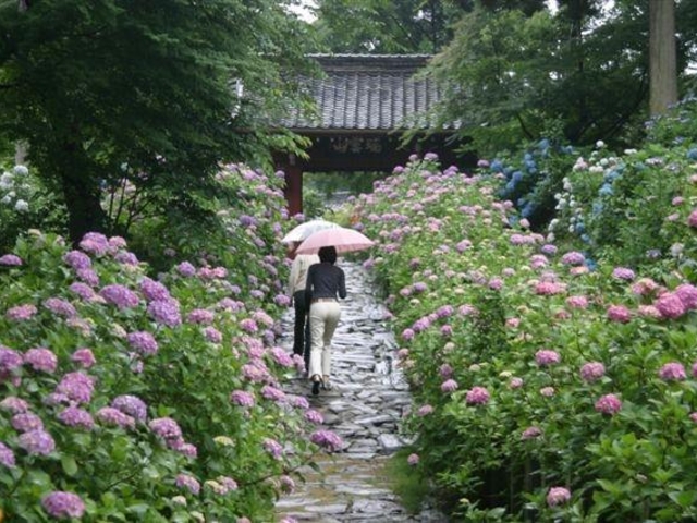 �{�����̂�������_�{�����̂�������