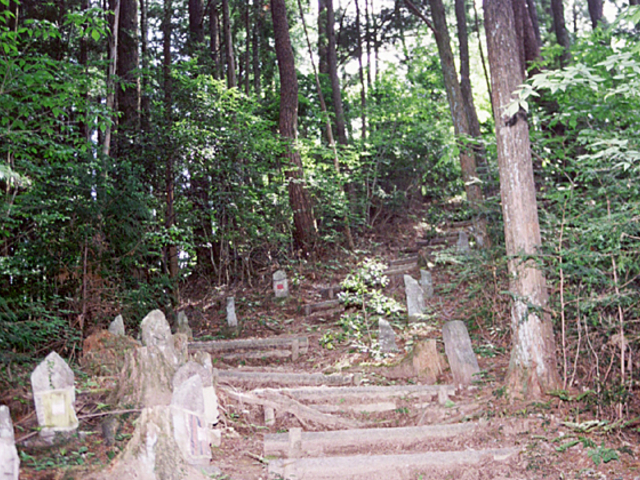 �Ε�����