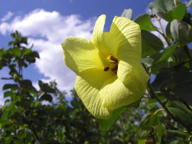 �n�}�{�E�̌Q��