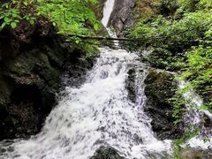 �e���̑�̎ʐ^1