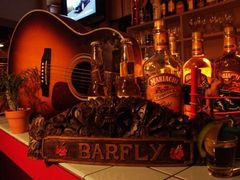 BARFLY̎ʐ^1