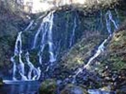 ��ƎR�[�@�ܐF�P���̎ʐ^1