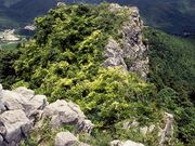 �Ί��R�ΊD��n�A���Q���̎ʐ^1