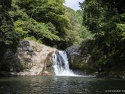 ������̎ʐ^1