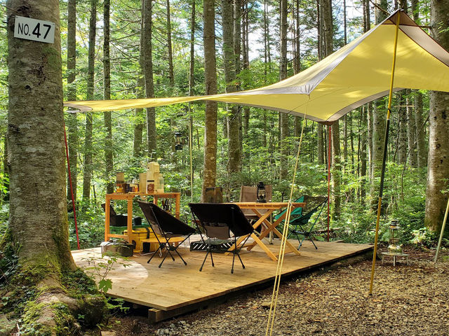 �ӓ����L�����v��