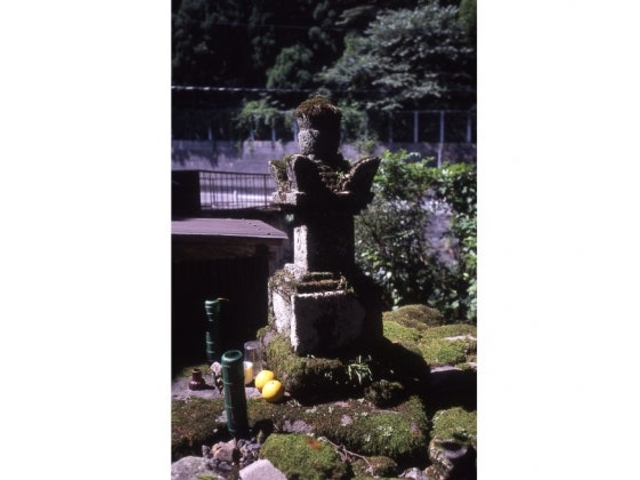 ���o���̕�̎ʐ^1