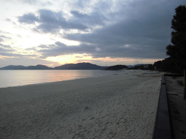 ���P�l�C��