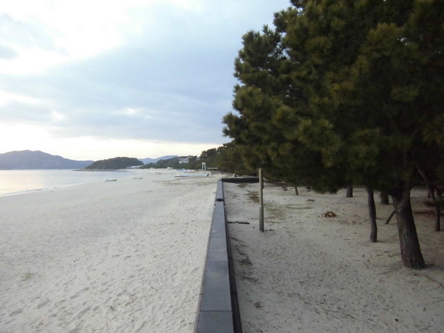 ���P�l�C��