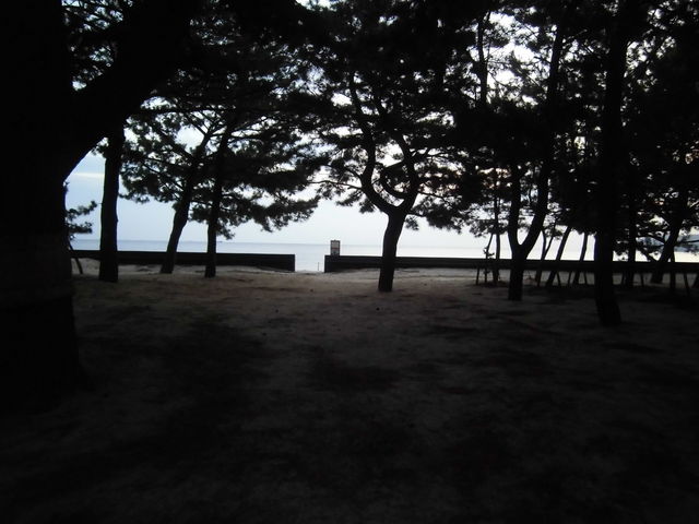 ���P�l�C��