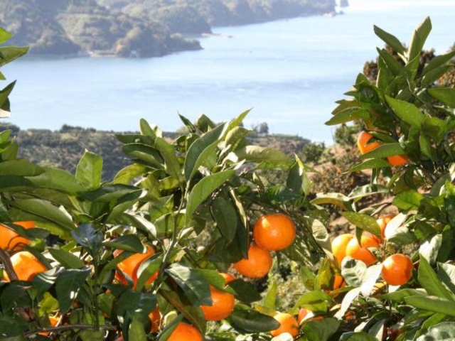 �~�J����