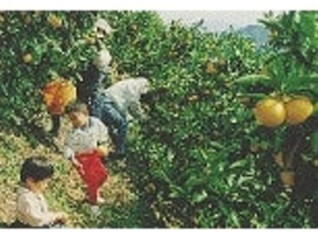 �~�J����