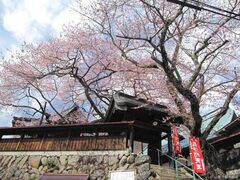 �g�ˎ��̐V�����̎ʐ^1