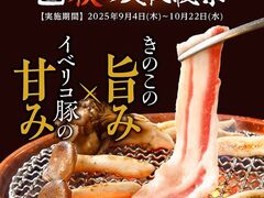 p OX̎ʐ^1