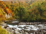 �ԐΌk���̎ʐ^1