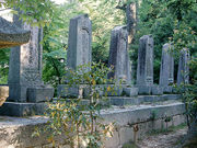 ���R���ݑ�̕�̎ʐ^1