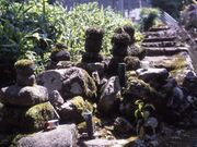 ���o���̕�̎ʐ^2