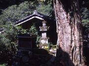 ���o���̕�̎ʐ^3