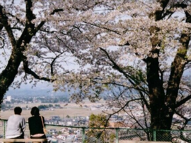 �����������̍��̎ʐ^1