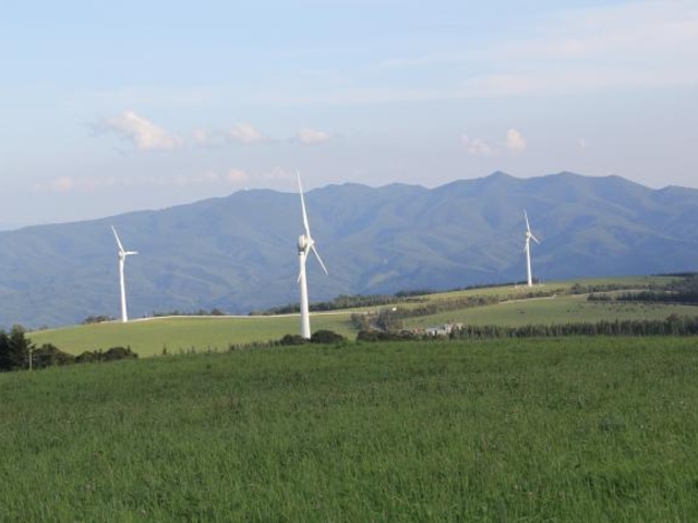 ���Ȍ��̎ʐ^1