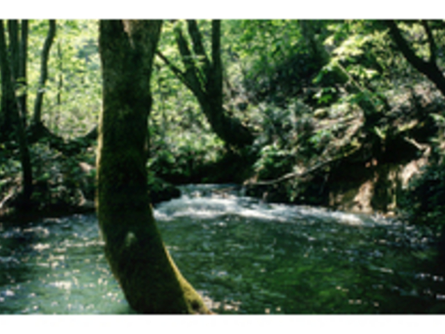 ���q���@����_���q���@����