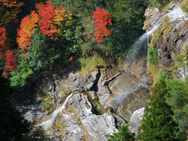 ����̑�_����̑�