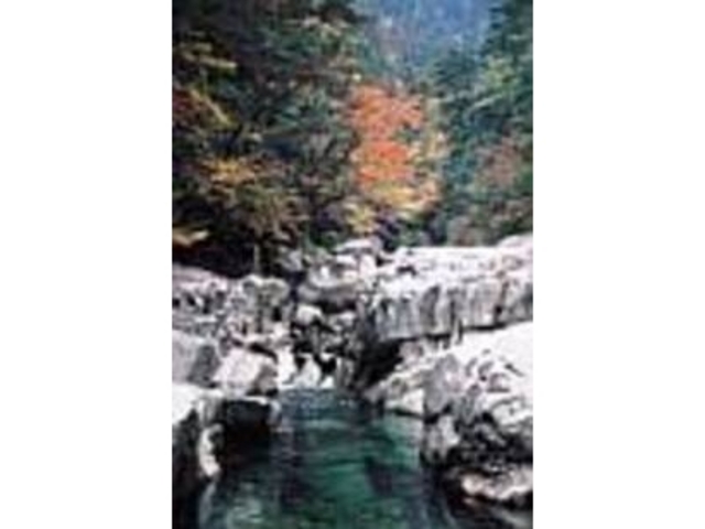 ���̐A��̔��ɍg�t���f����g�t�͌�_�ʉ͌k