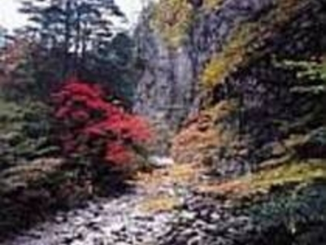 �S�C�ΐ샋�[�g�̊Z��Ɗ����������_�ʉ͌k