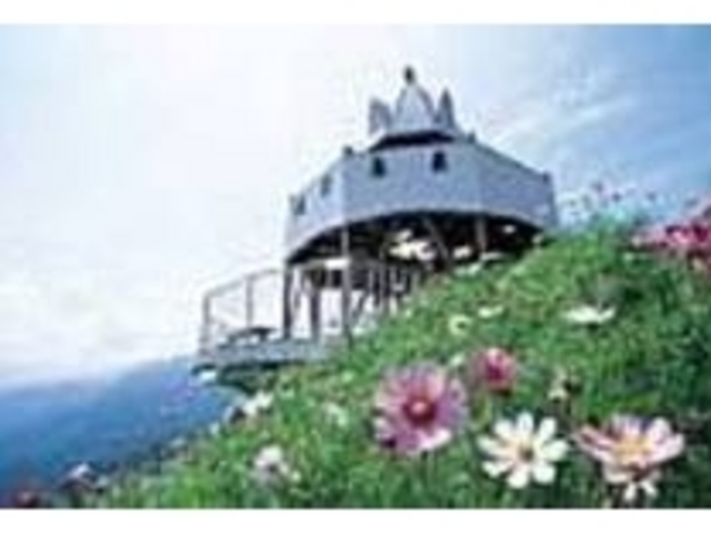 �W�]�䂩��R�U�O�x�̑�p�m���}���L����_���g����