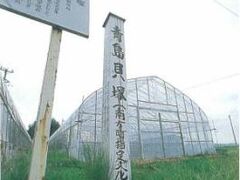 L˂̎ʐ^1