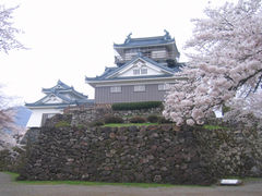 亀山公園の桜の写真1