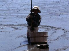 むつかけの写真1